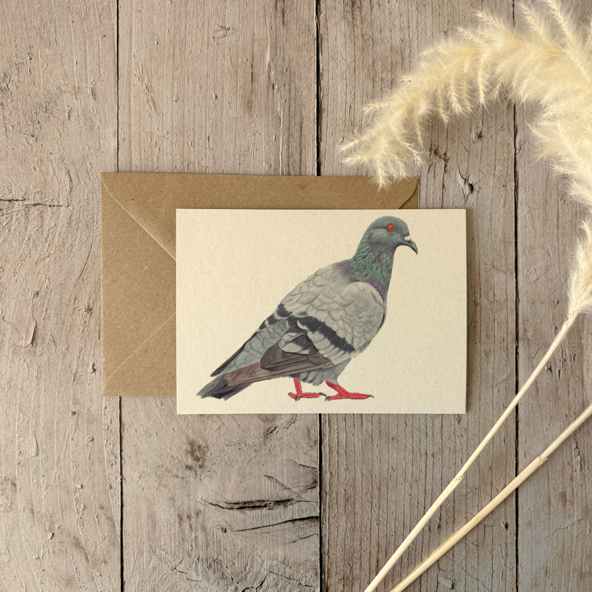 A6 card | Pigeon