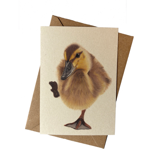 Wholesale | A6 kaart | Eendje