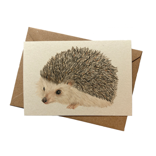 Wholesale | A6 kaart | Egel