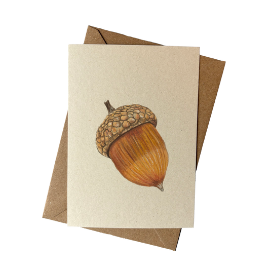 Wholesale | A6 kaart | Eikeltje