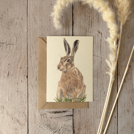 A6 card | Hare