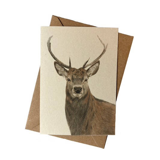 Wholesale | A6 kaart | Hert