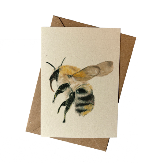 Wholesale | A6 kaart | Hommel