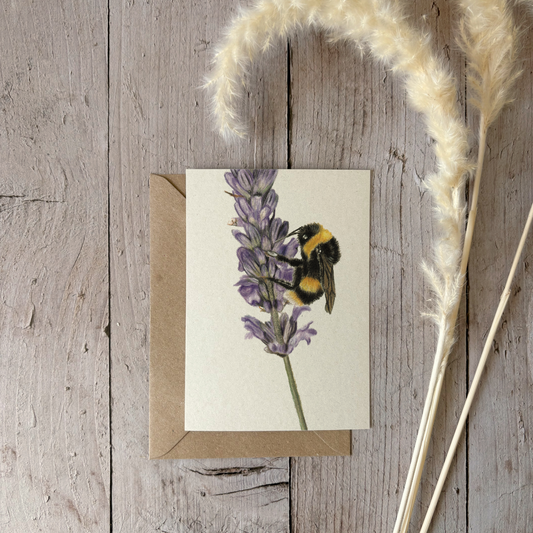 A6 card | Kingfisher 2.0
