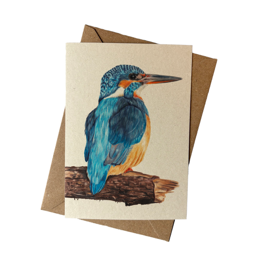 Wholesale | A6 kaart | IJsvogel op hout