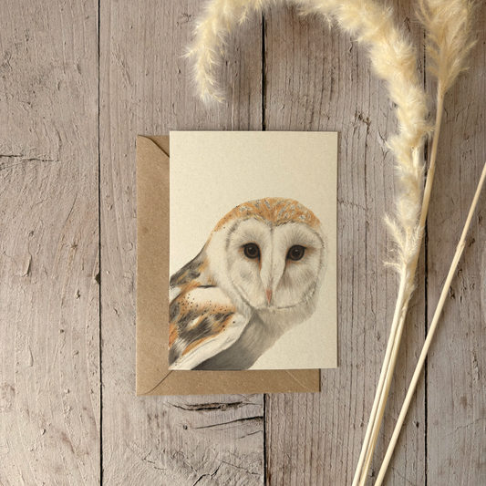 A6 card | Barn Owl