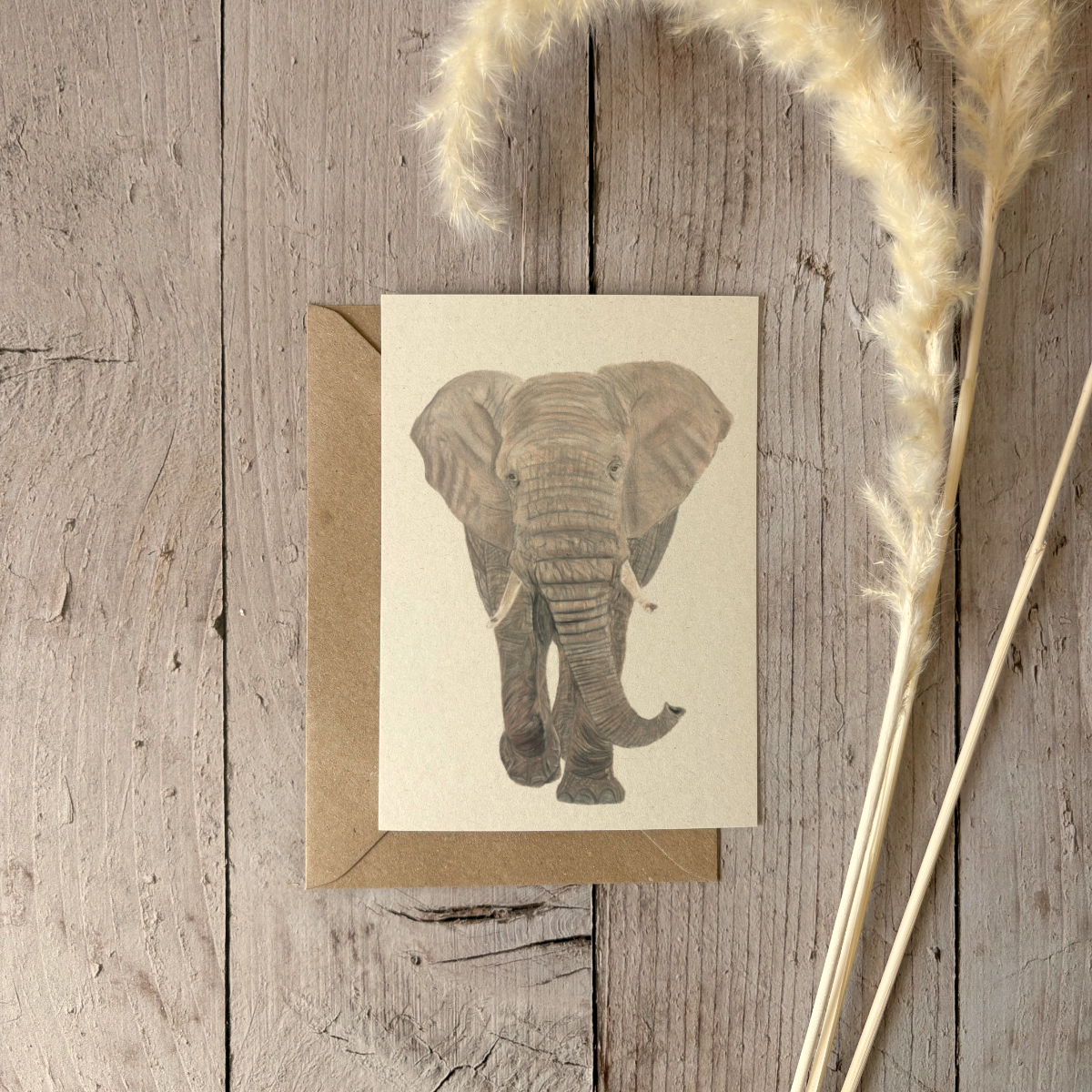 Wholesale | A6 kaart | Olifant