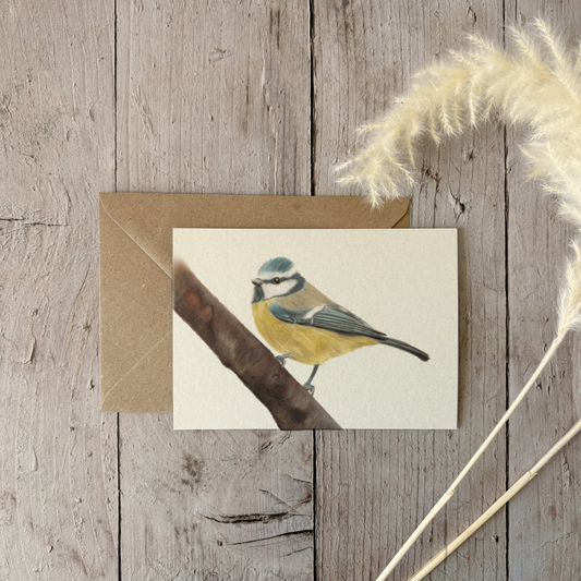 A6 card | Kingfisher 2.0