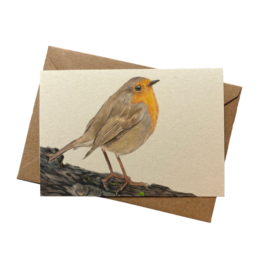 A6 kaart | Roodborstje