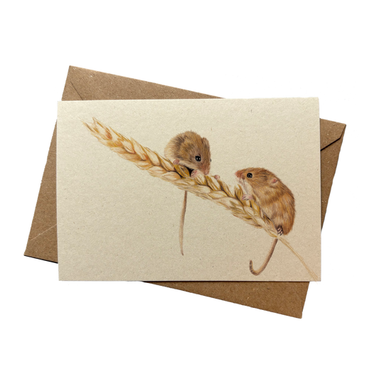 A6 kaart | Veldmuizen