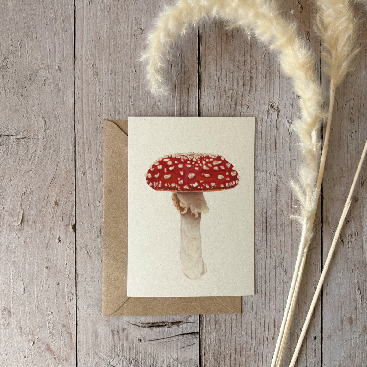 A6 kaart | Vliegenzwam