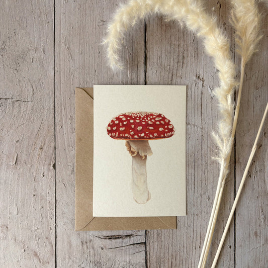 A6 kaart | Vliegenzwam
