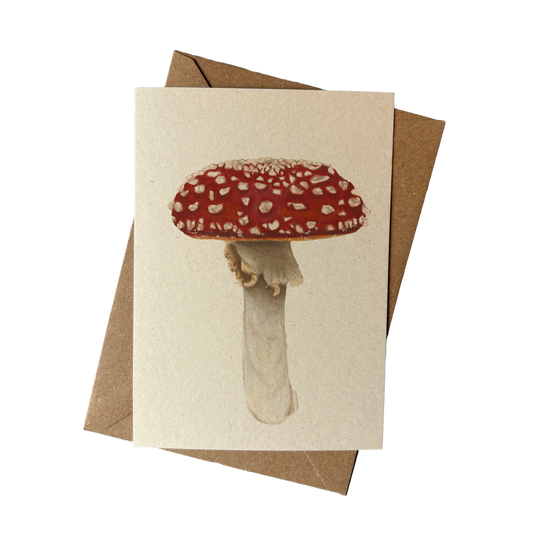 A6 kaart | Vliegenzwam