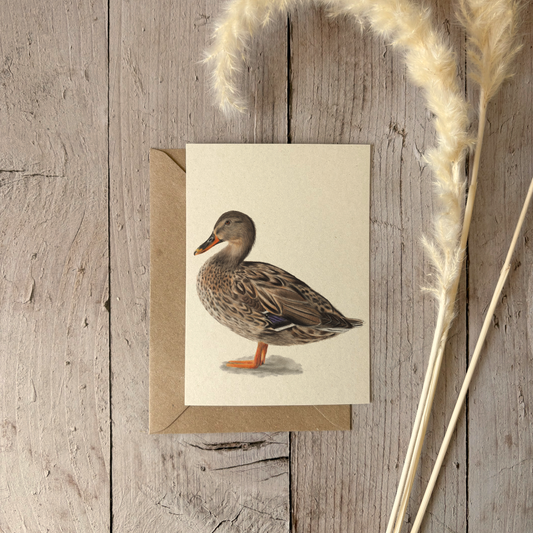 A6 kaart | Wilde eend