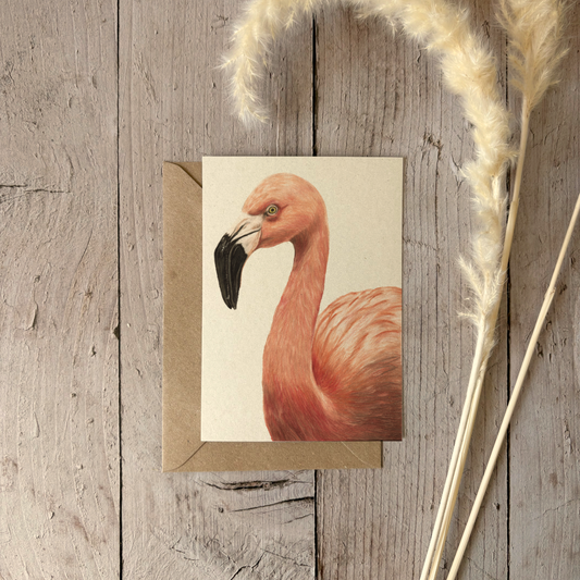 A6 kaart | Flamingo