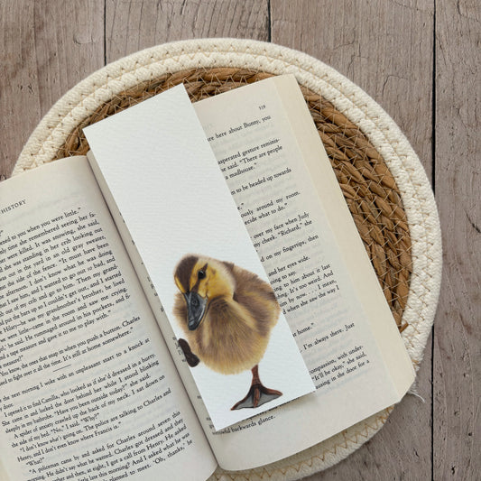 Boekenlegger | Eendje