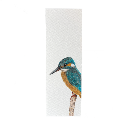 Wholesale | Boekenlegger | IJsvogel