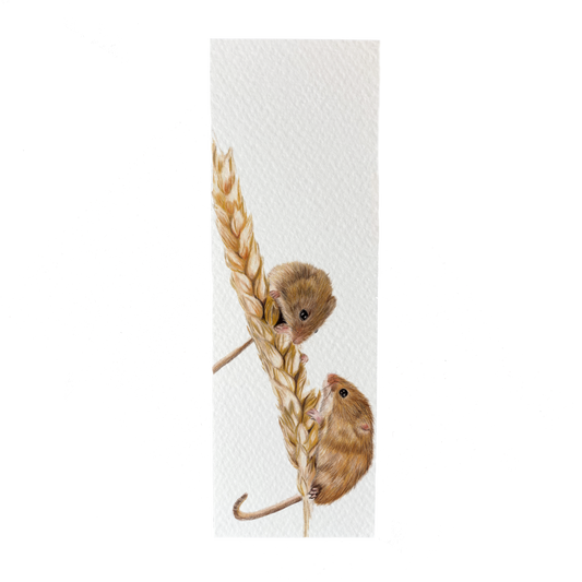 Wholesale | Boekenlegger | Veldmuizen