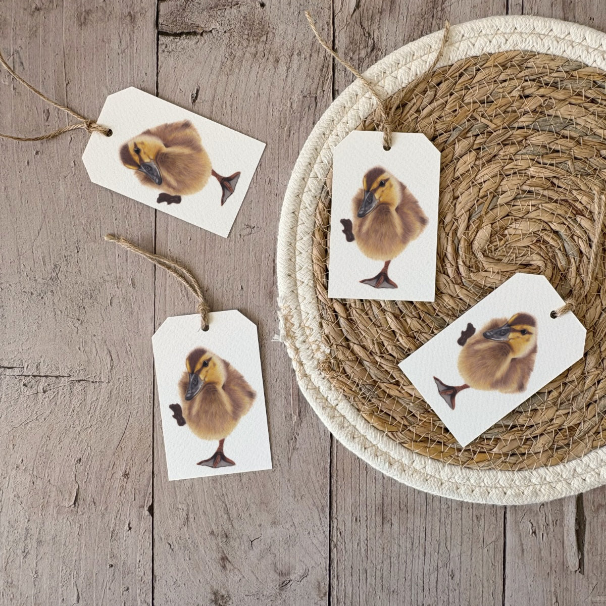Cadeaulabels | Eendje