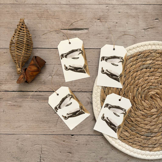 Cadeaulabels | Pinguïns