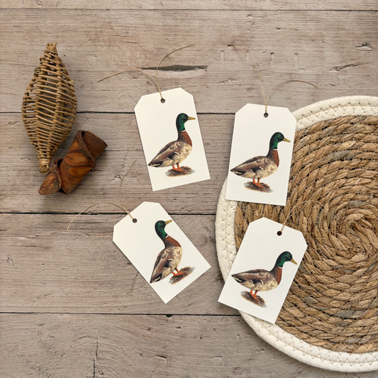 Gift tags | Mallard Duck
