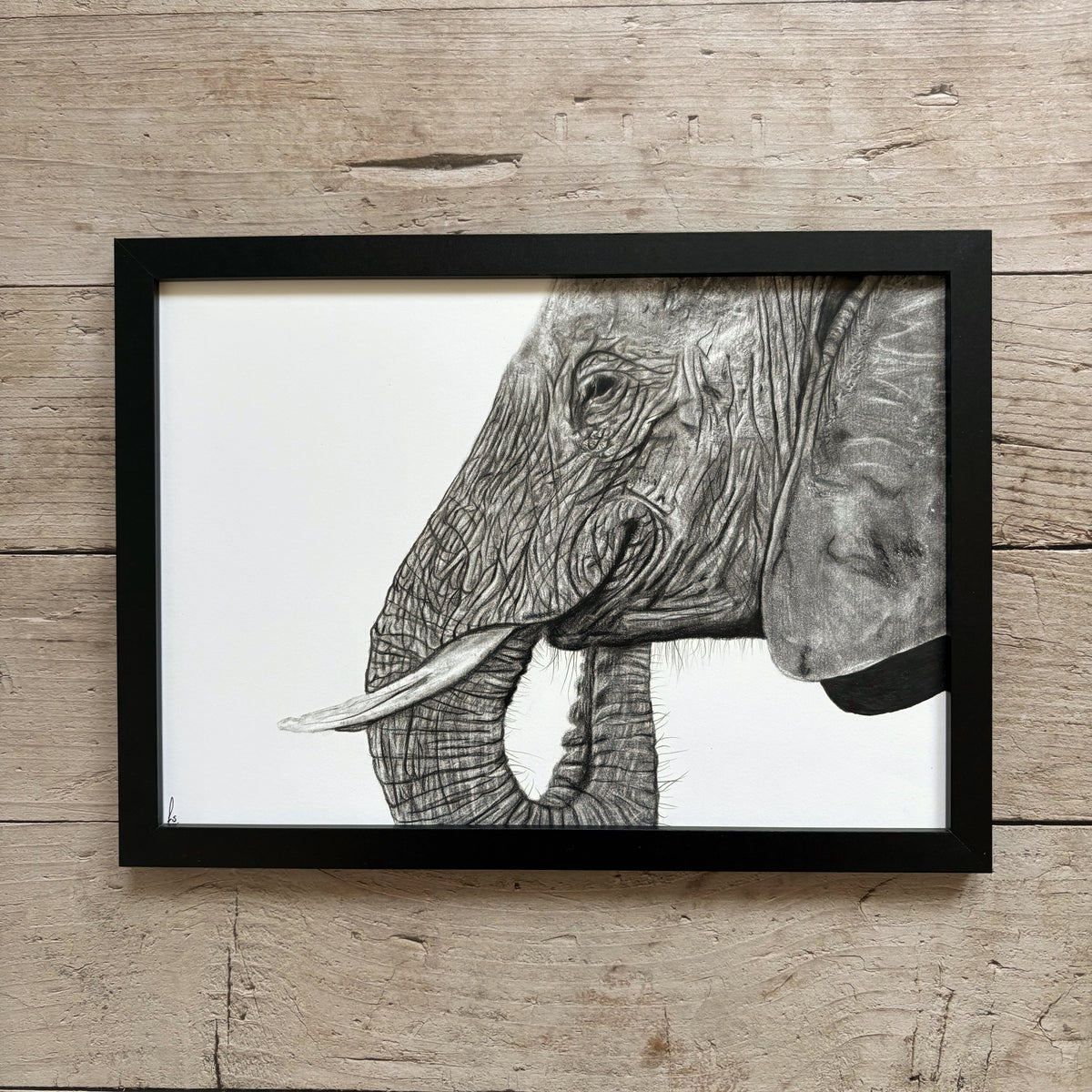 Originele tekening | De Wijze Olifant