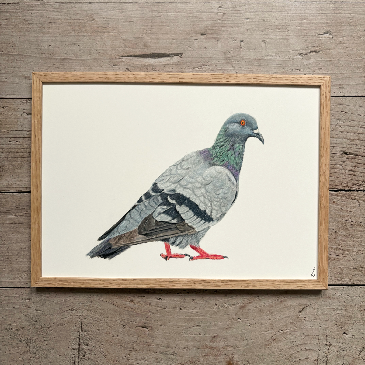 Originele tekening | Duif