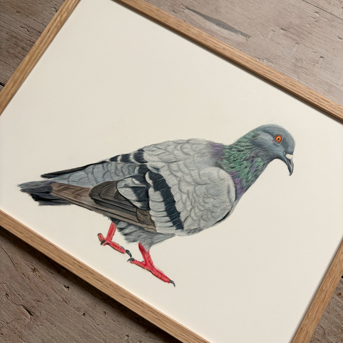 Originele tekening | Duif