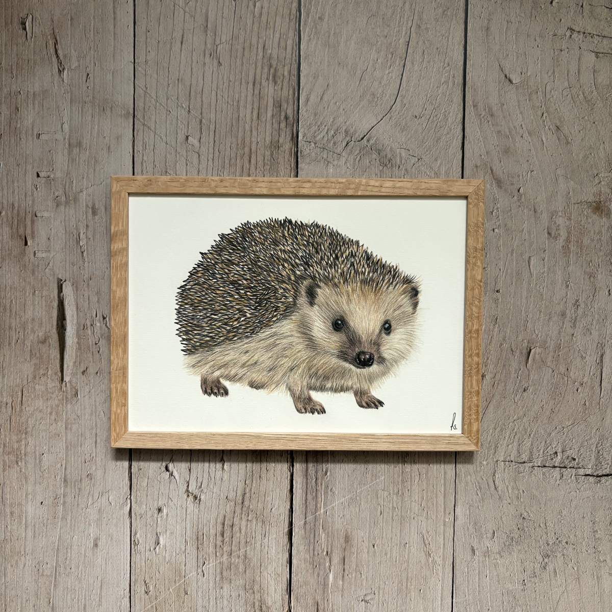 Originele tekening | Egel