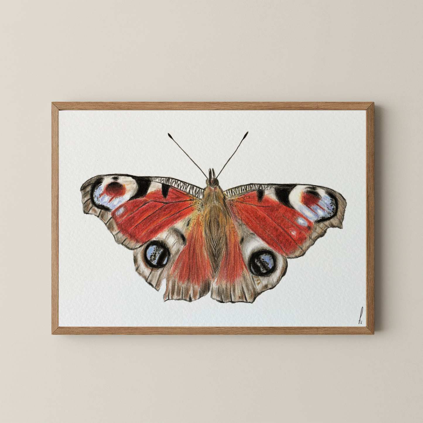 Print | Peacock Butterfly