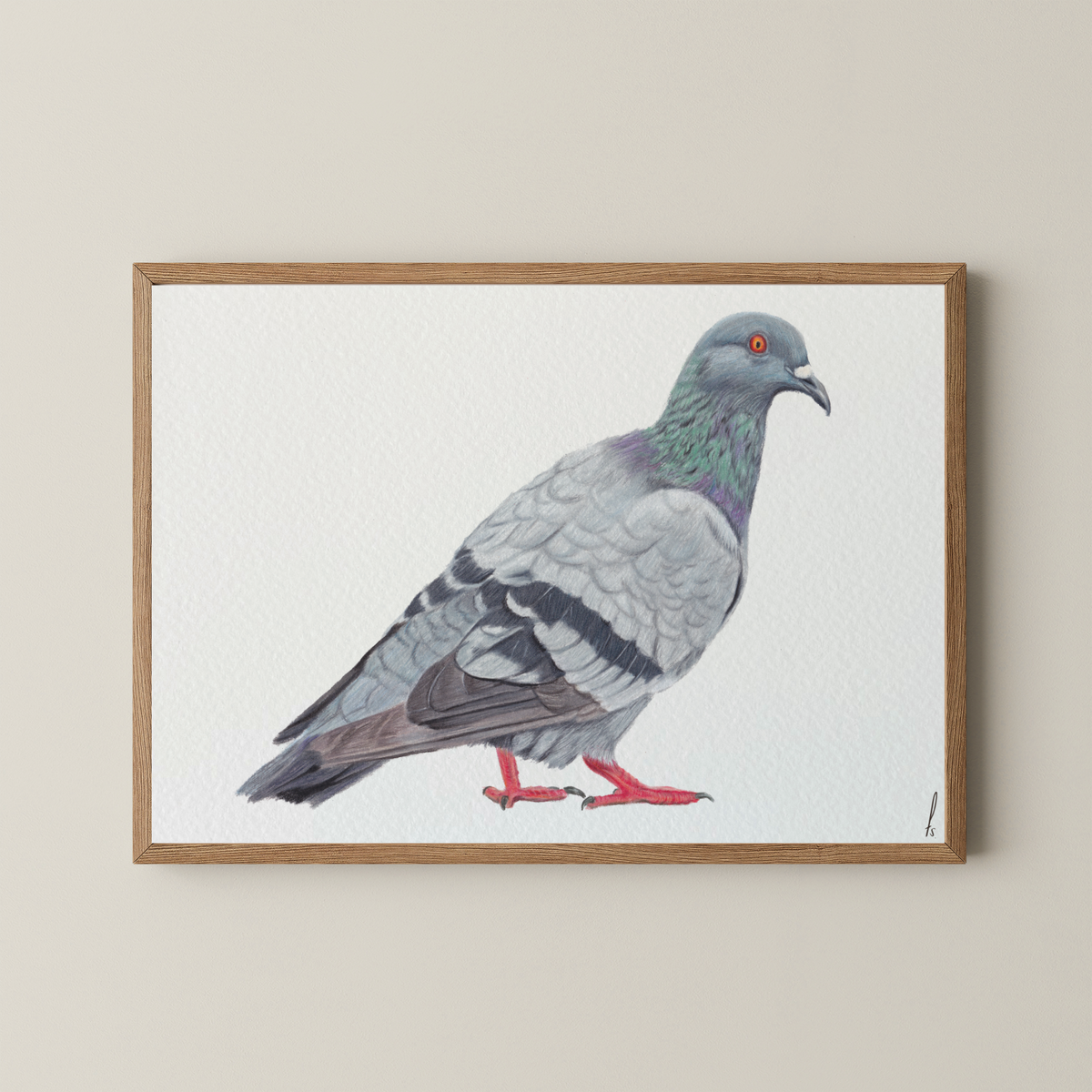 Print | Pigeon