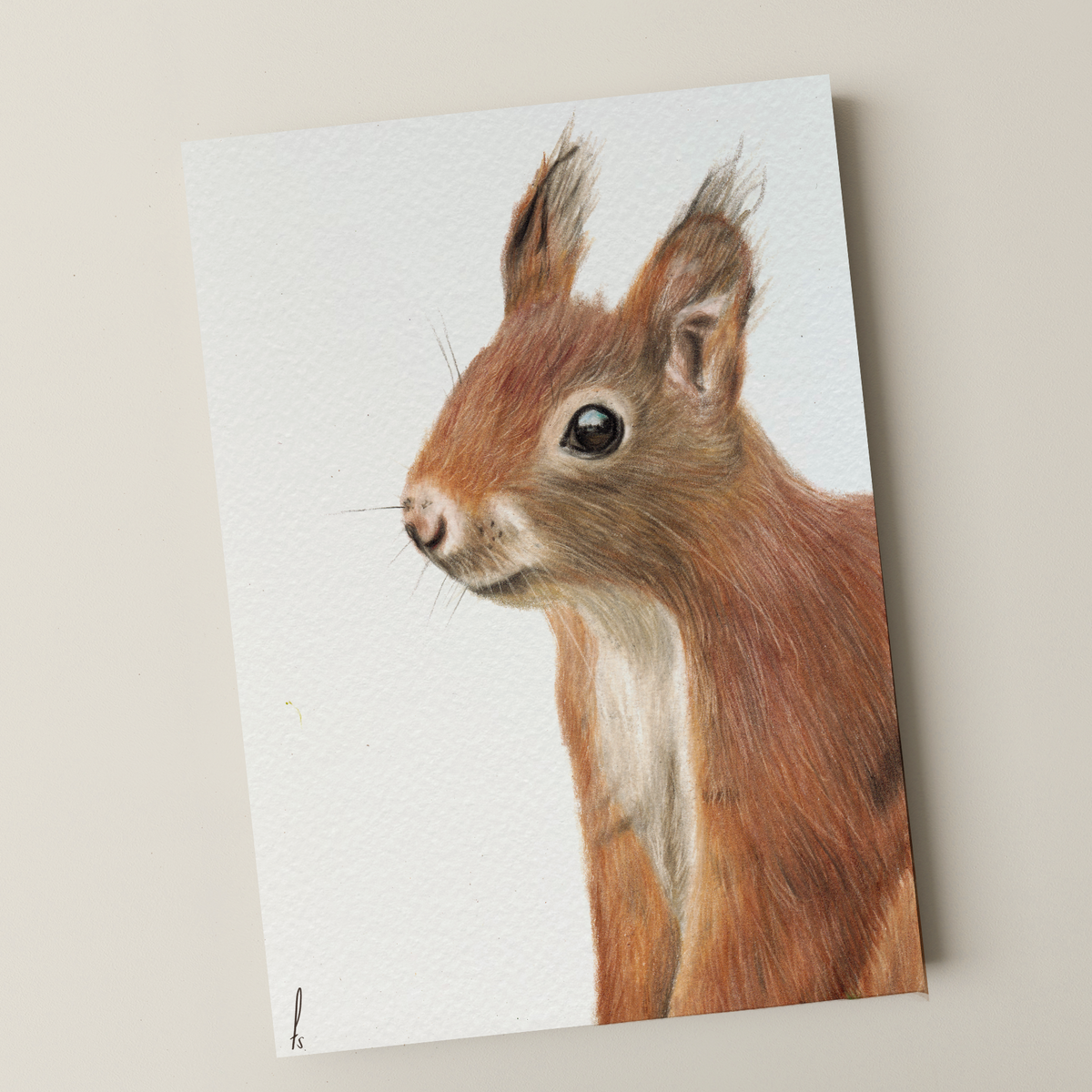 Print | Squirrel