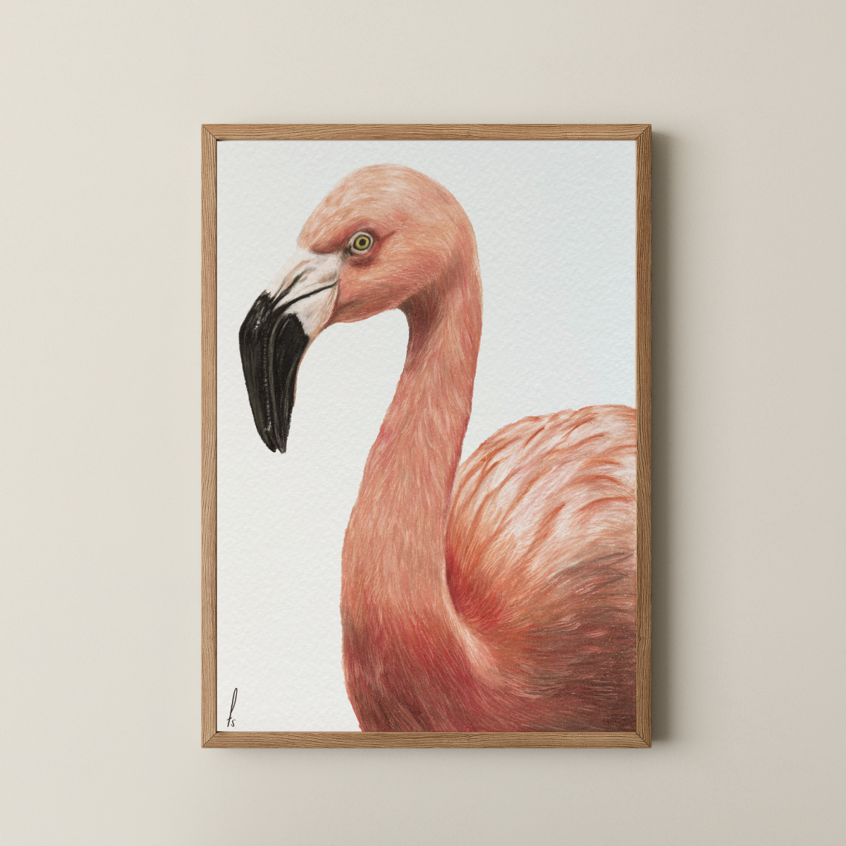 Print | Flamingo