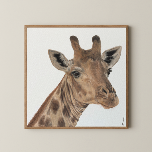 Print | Giraffe