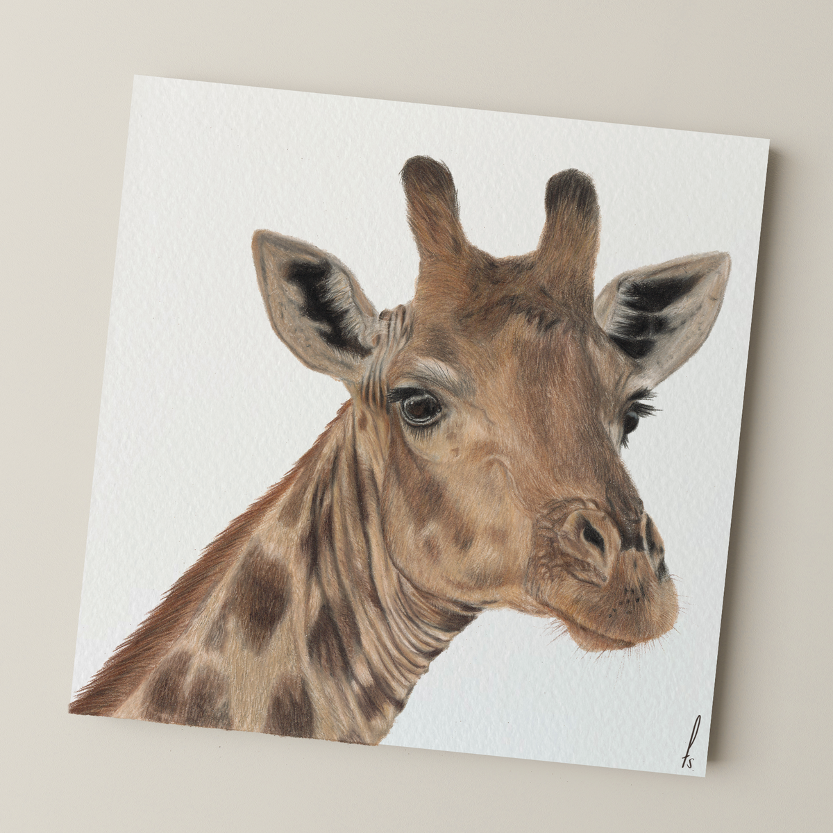 Print | Giraffe