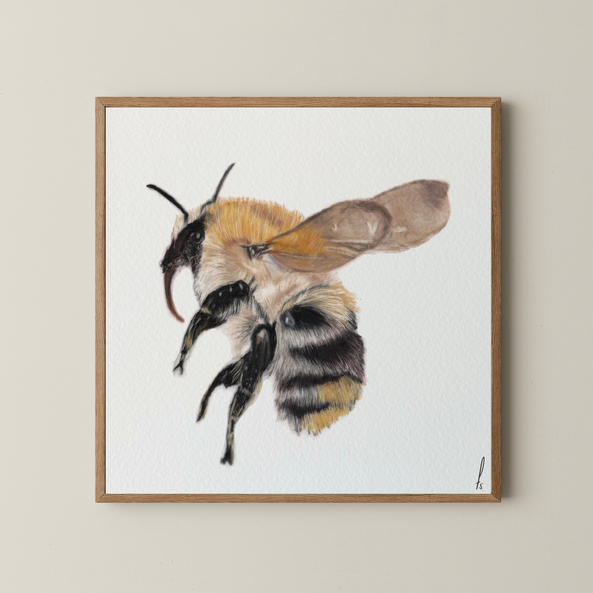 Print | Bumblebee