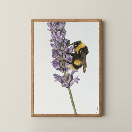 Print | Hommel op bloem