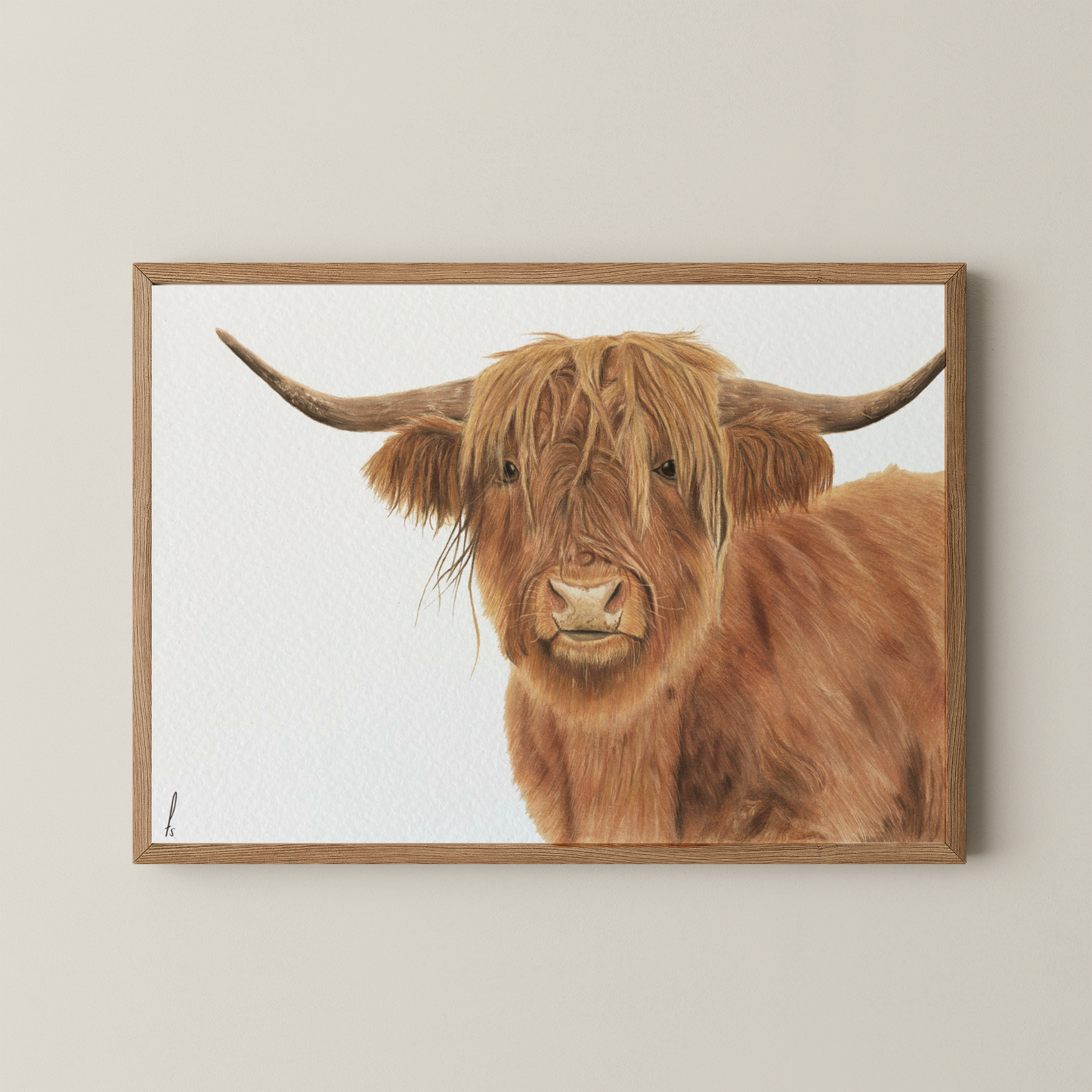 Print | Highland Cow