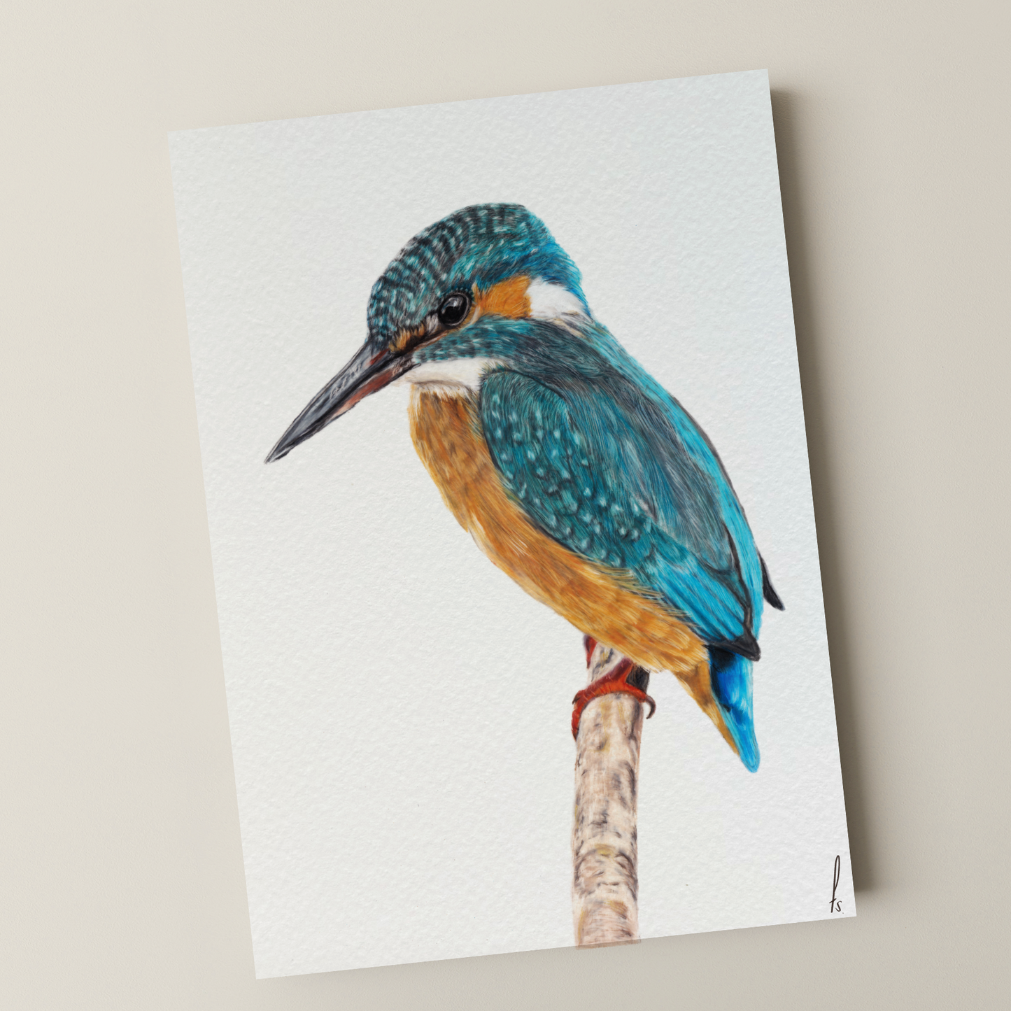 Print | IJsvogel