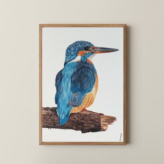 Print | IJsvogel op hout