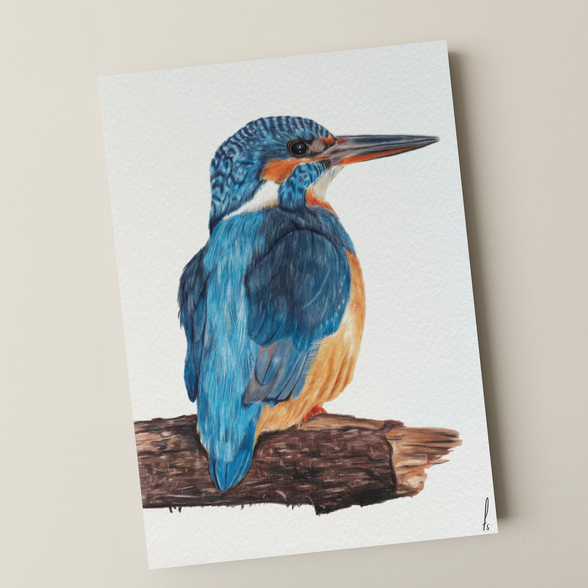 Print | IJsvogel op hout