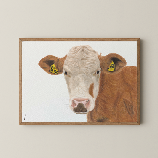 Print | Koe