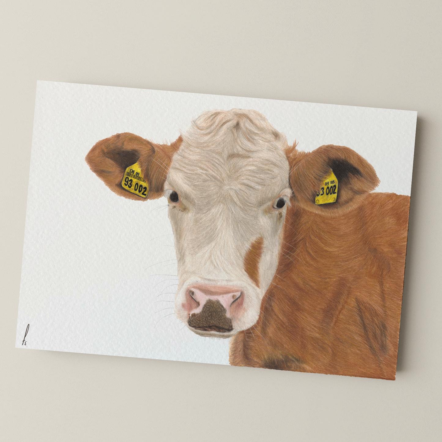 Print | Cow