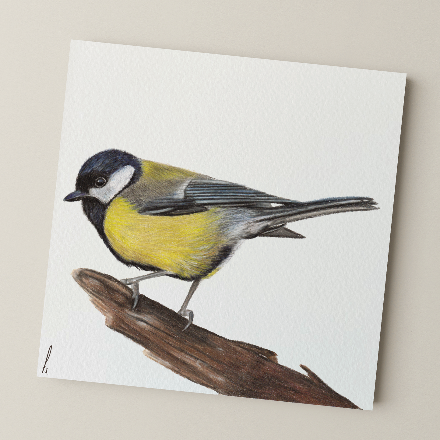 Print | Great tit