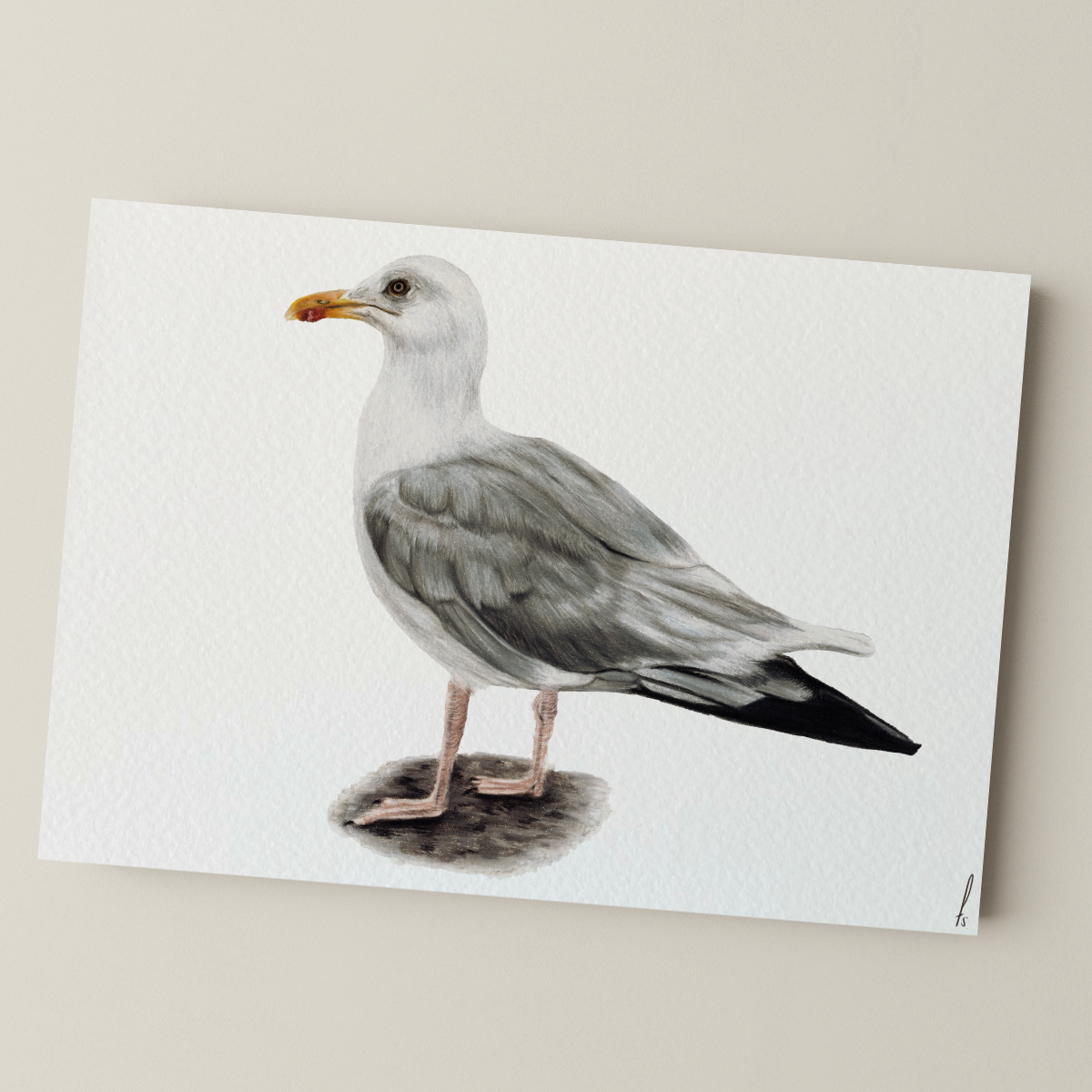 Print | Meeuw