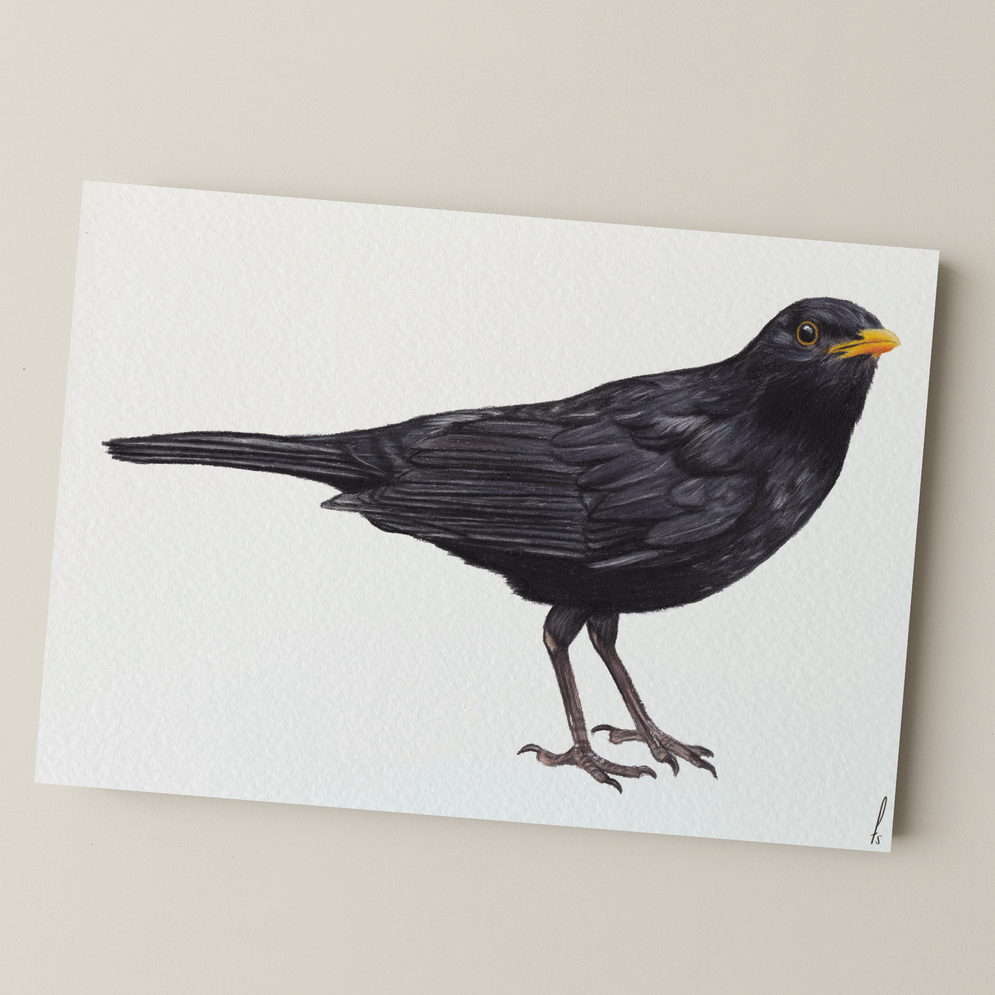 Print | Merel