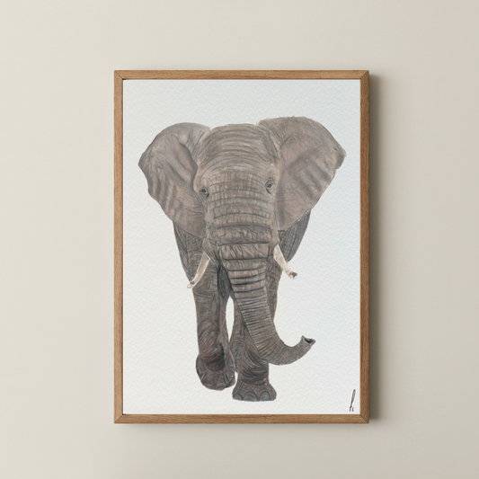 Print | Olifant