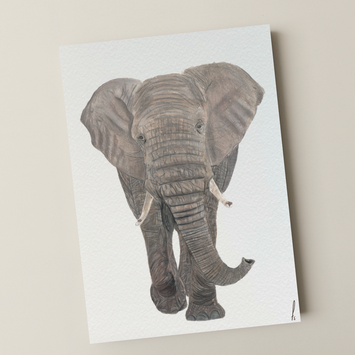 Print | Olifant