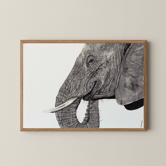 Print | De Wijze Olifant