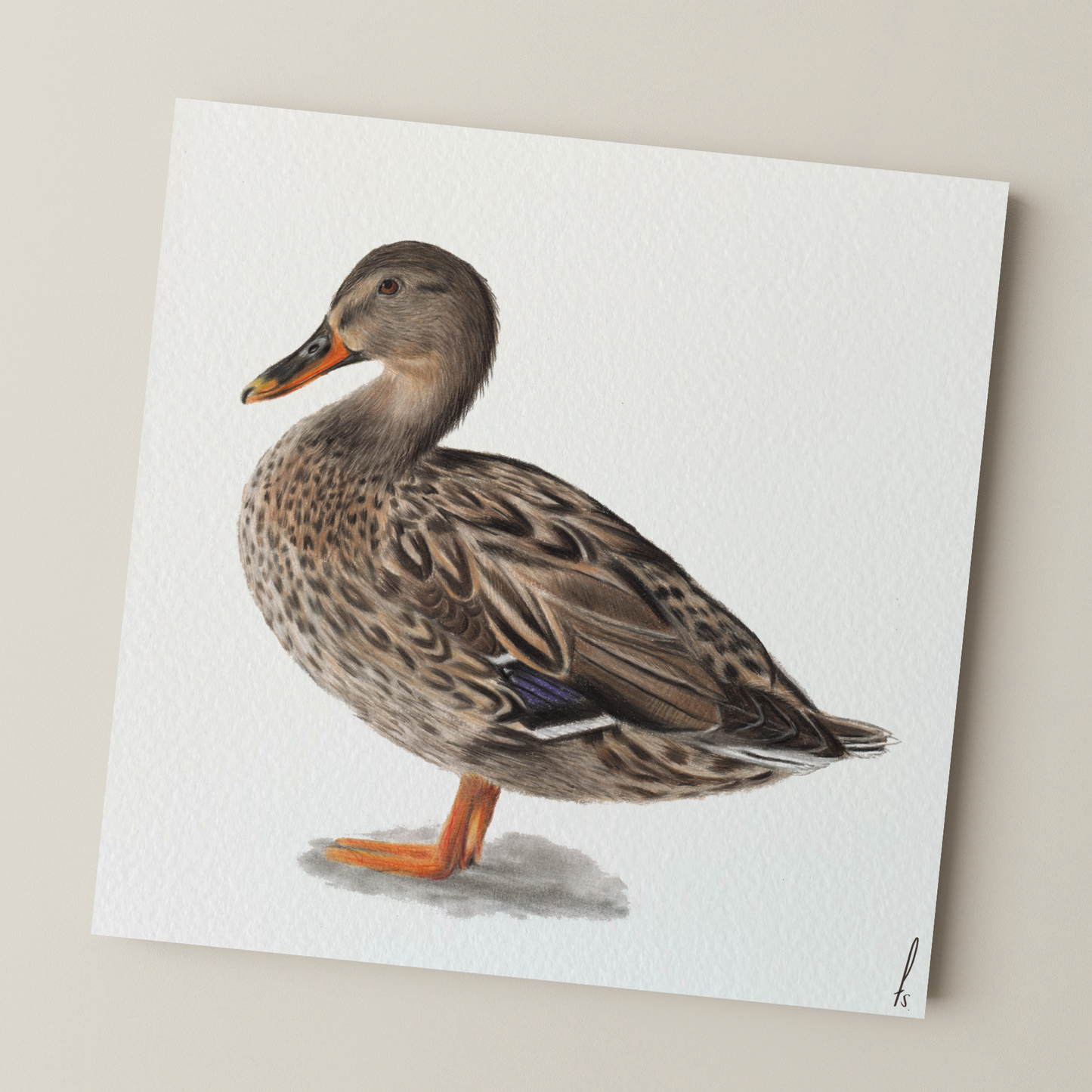 Print | Wilde eend